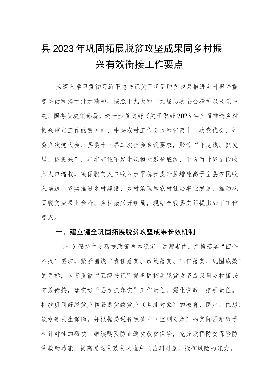 县2023年巩固拓展脱贫攻坚成果同乡村振兴有效衔接工作要点.docx_第1页