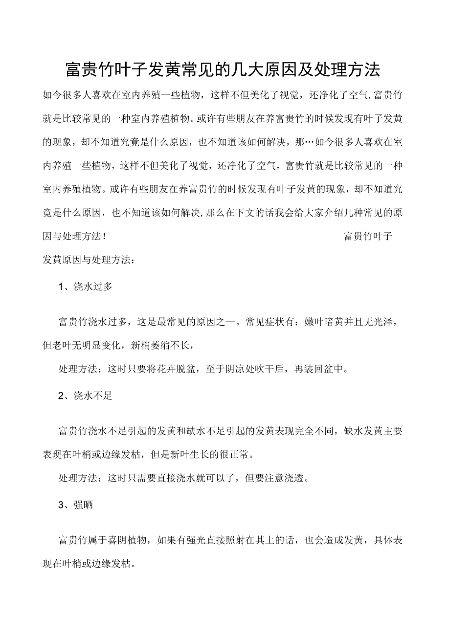 富贵竹叶子发黄常见的几大原因及处理方法.docx_第1页