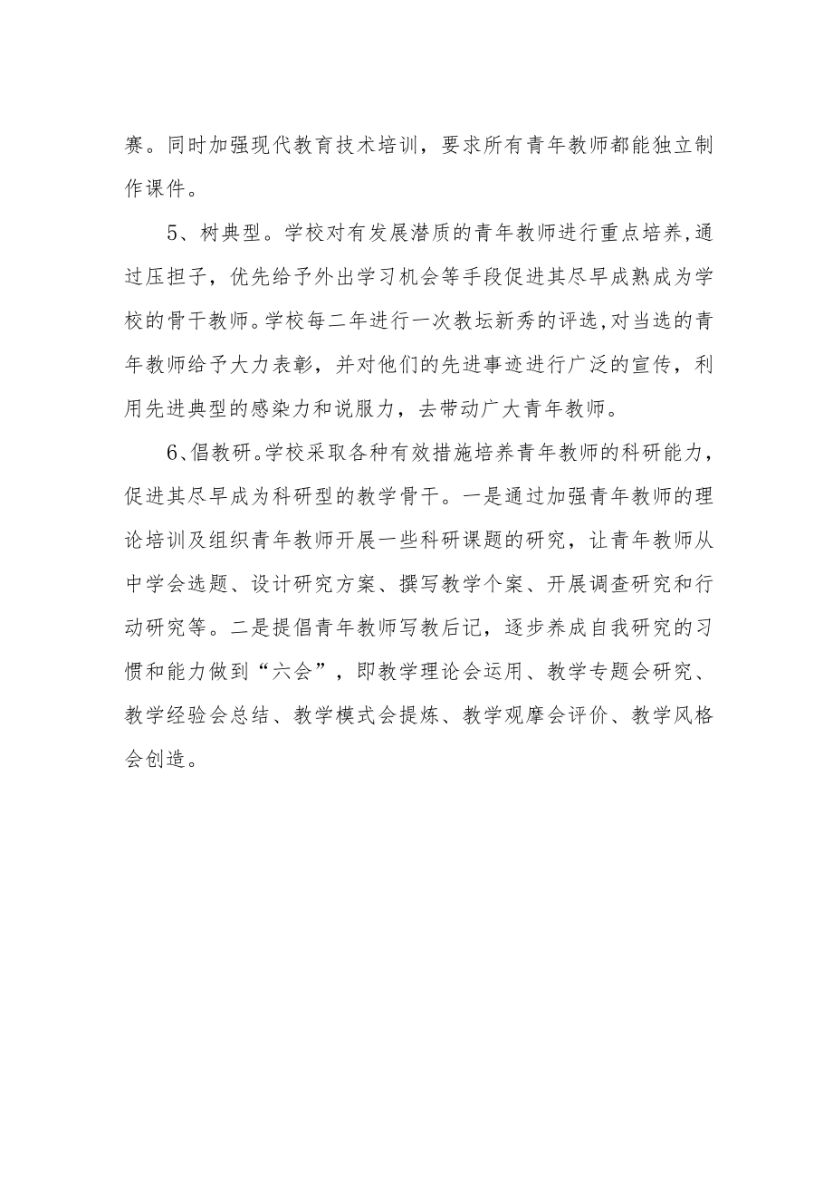 学校青年教师培养制度.docx_第2页