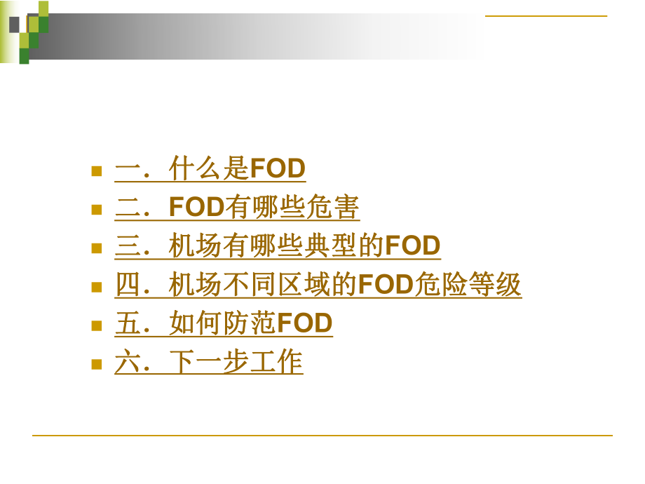 FOD防范培训课件.ppt_第2页