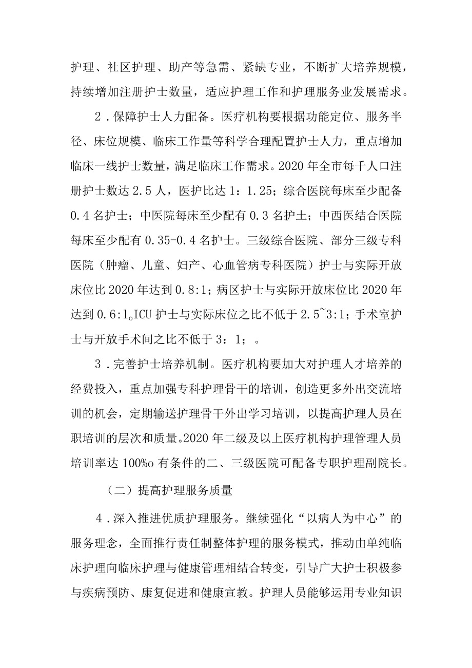 关于进一步推进护理工作的意见.docx_第2页