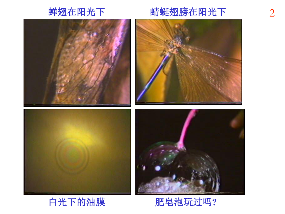 大学物理光的干涉.ppt_第2页