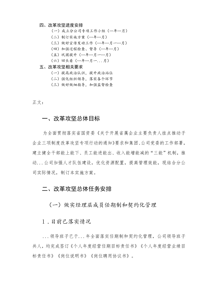 公司三项制度改革攻坚实施方案.docx_第2页