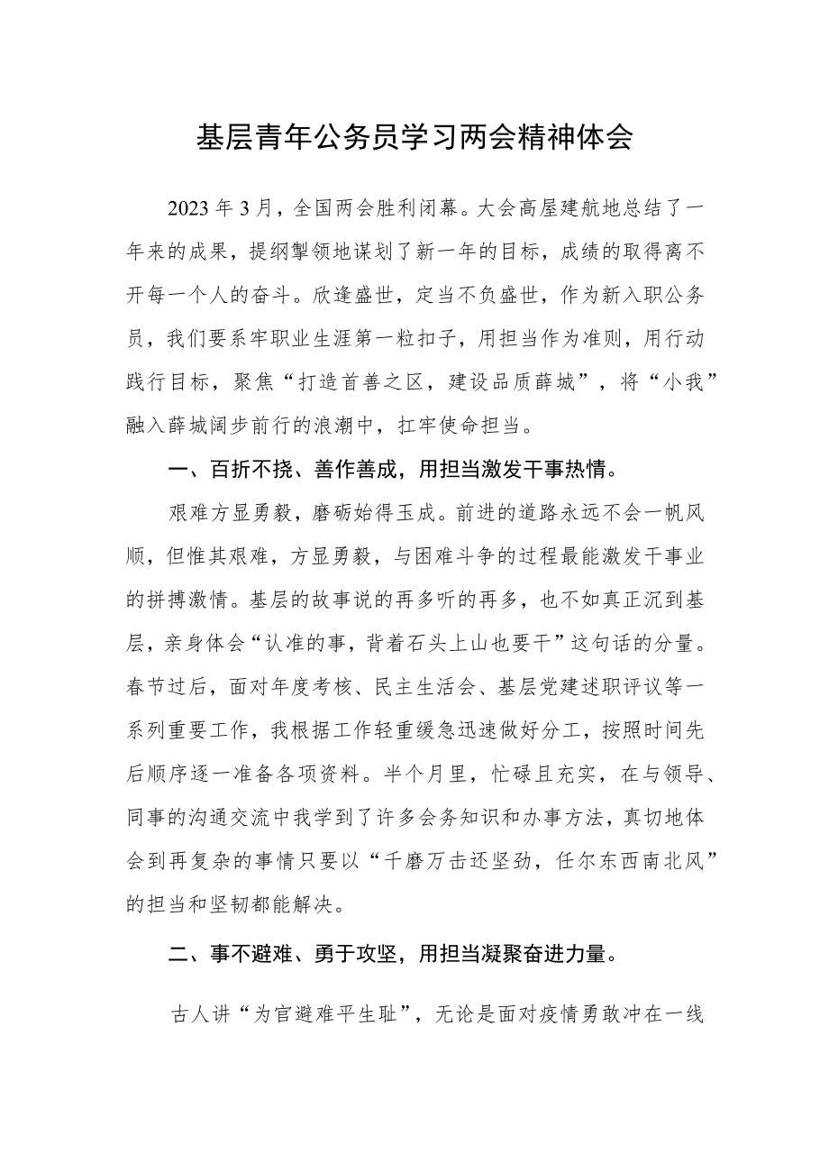 基层青年公务员学习两会精神体会.docx_第1页