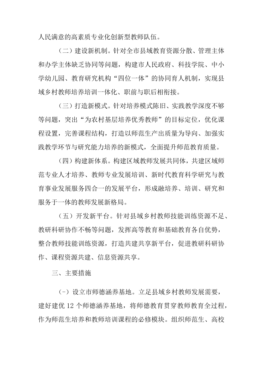 关于新时代教师教育综合改革实验区建设工作的实施方案.docx_第2页