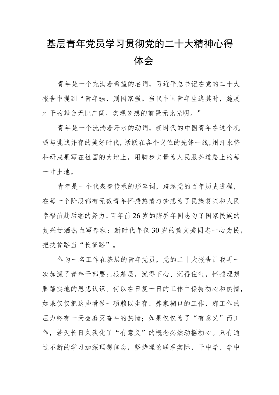 基层青年党员学习贯彻党的二十大精神心得体会.docx_第1页