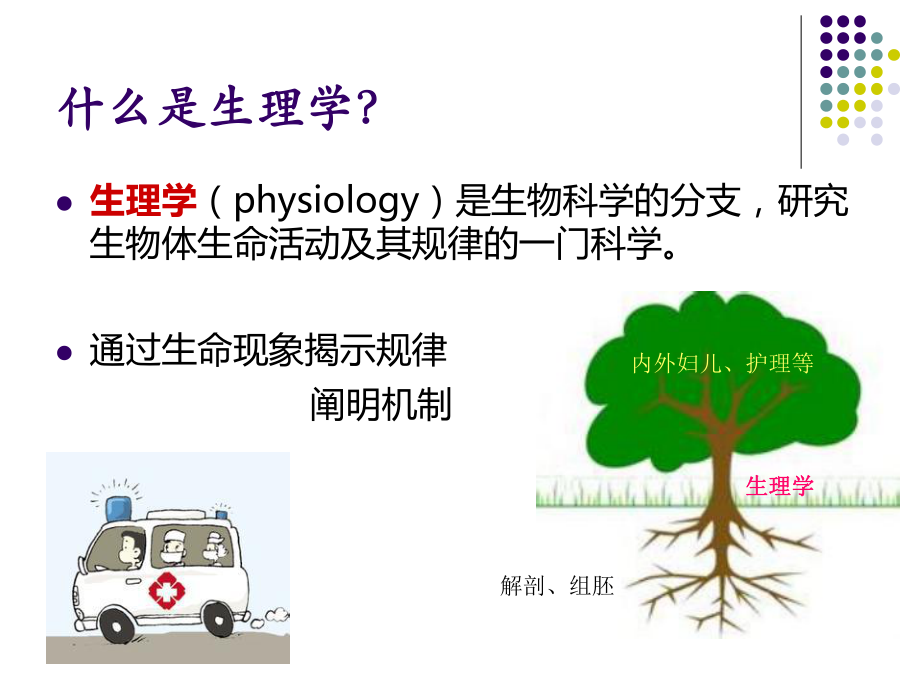 01生理学绪论.ppt_第3页