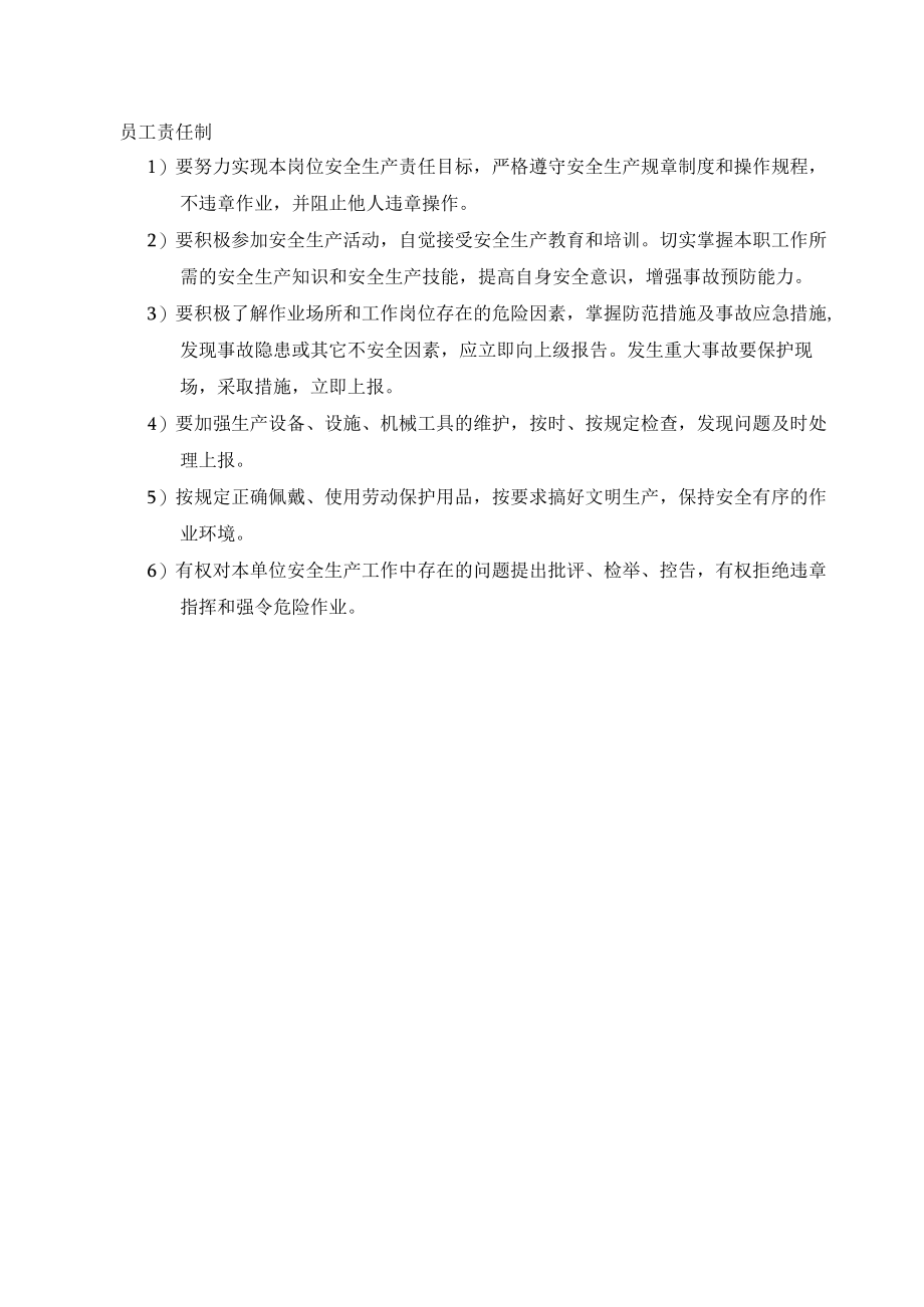 员工安全领导安全责任制.docx_第1页