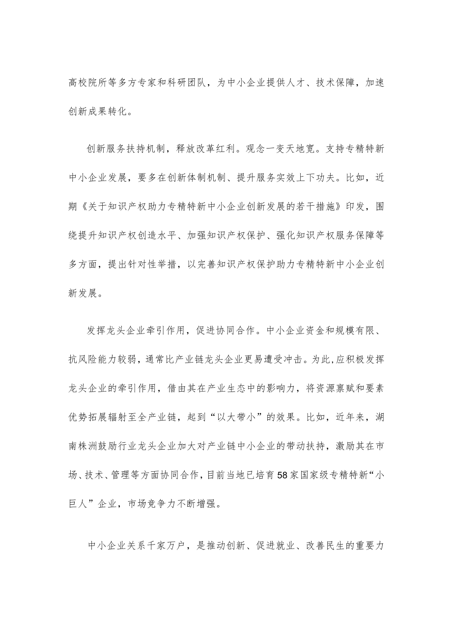 培育“专精特新”中小企业心得体会发言.docx_第2页