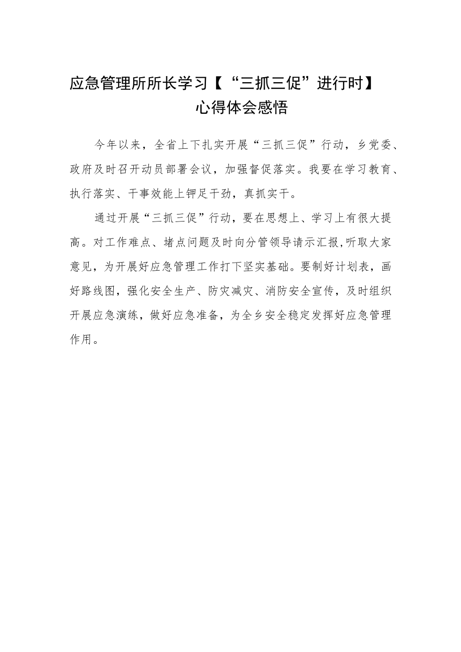 应急管理所所长学习【“三抓三促”进行时】心得体会感悟.docx_第1页