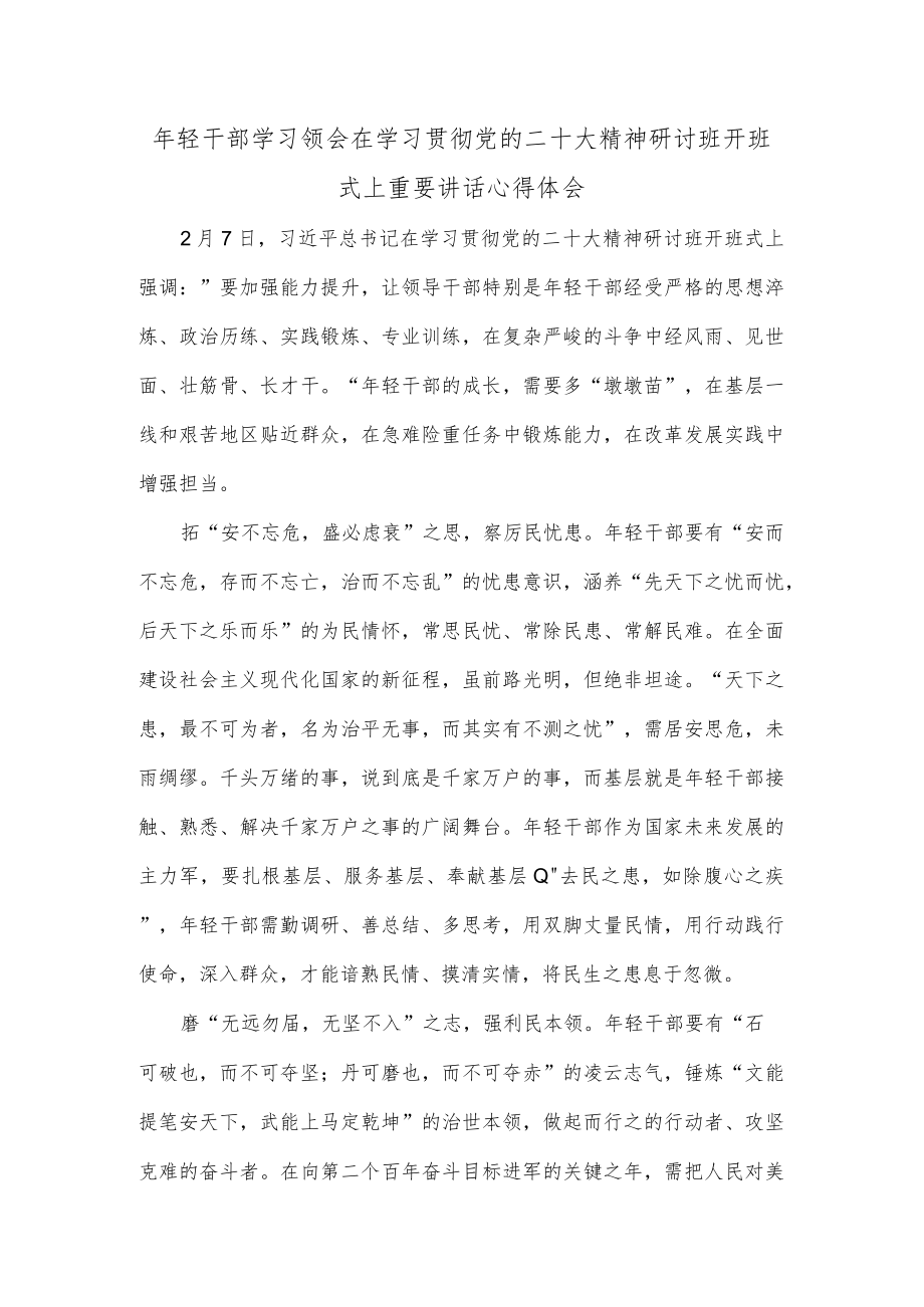 年轻干部学习领会在学习贯彻党的二十大精神研讨班开班式上重要讲话心得体会.docx_第1页