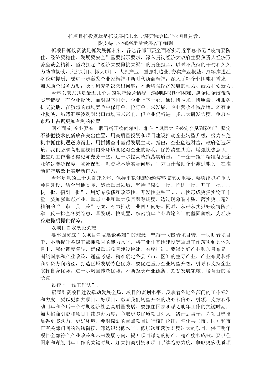 抓项目抓投资就是抓发展抓未来（调研稳增长产业项目建设）附支持专业镇高质量发展若干细则.docx_第1页