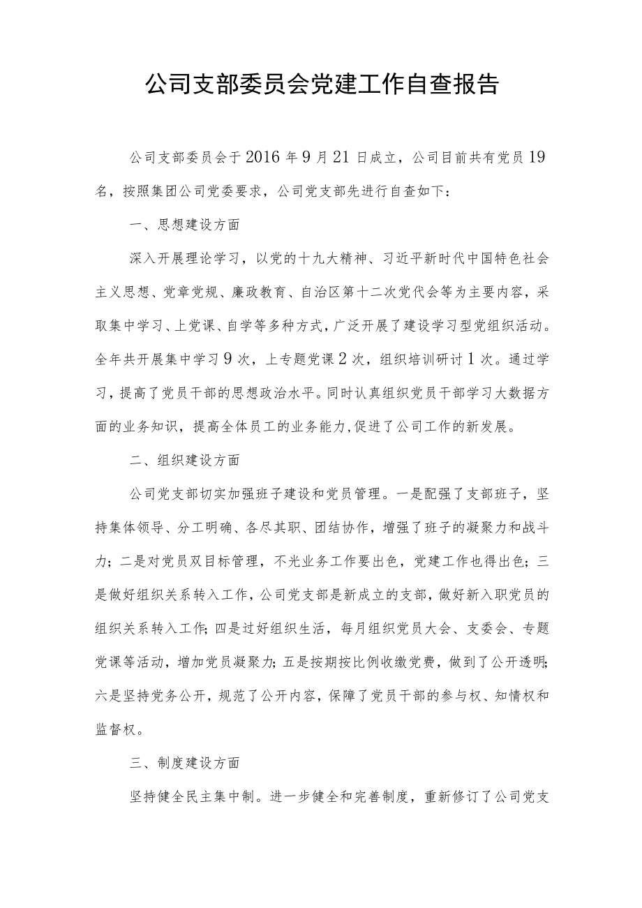 大中型公司支部委员会党建工作自查报告.docx_第1页