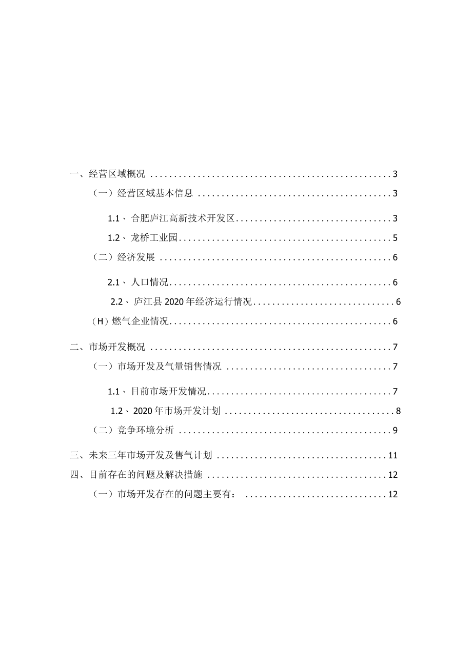 庐江皖能天然气有限公司2020-2022年三年滚动发展计划.docx_第2页