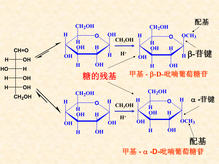 有机化学糖类.ppt_第2页