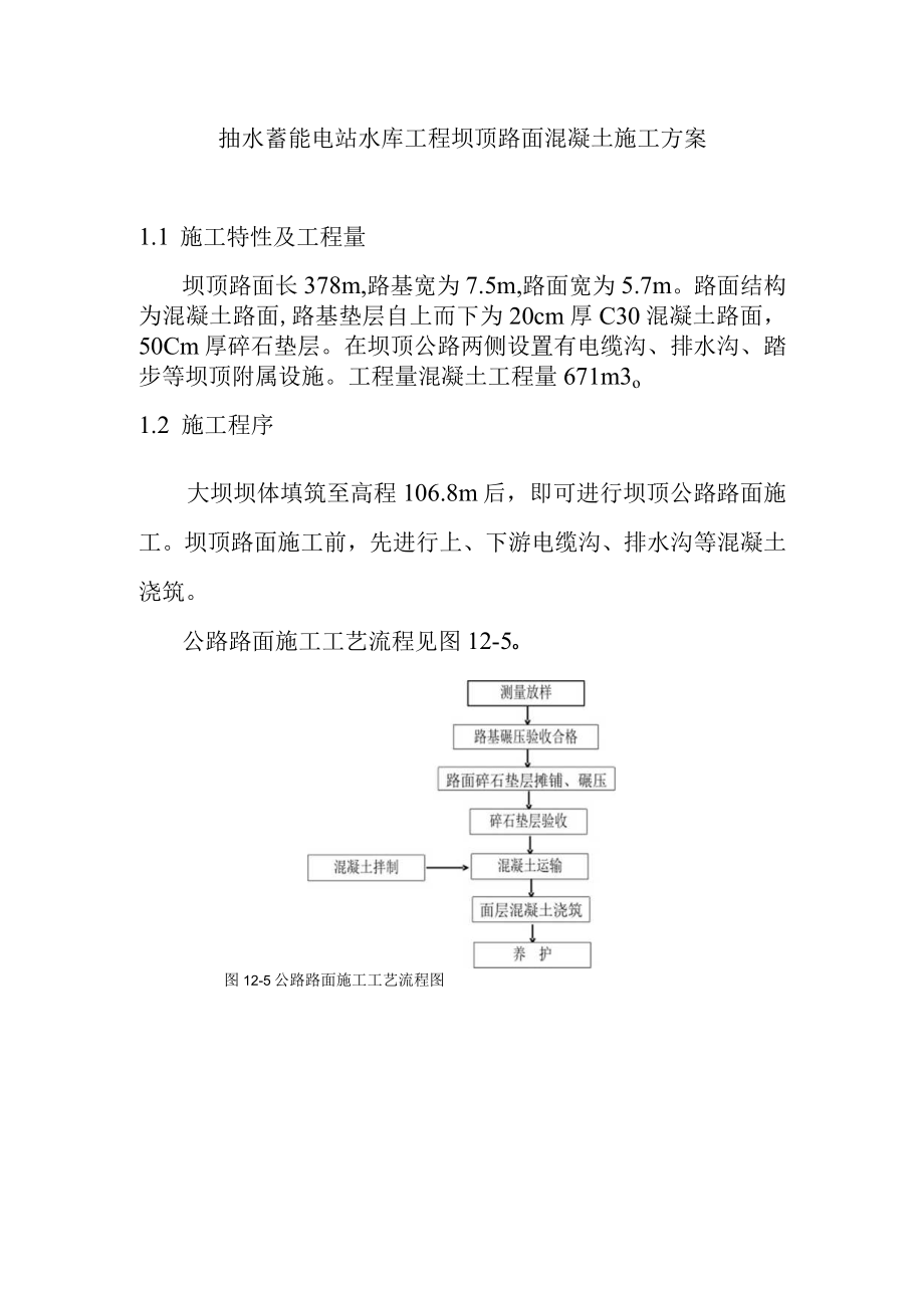 抽水蓄能电站水库工程坝顶路面混凝土施工方案.docx_第1页