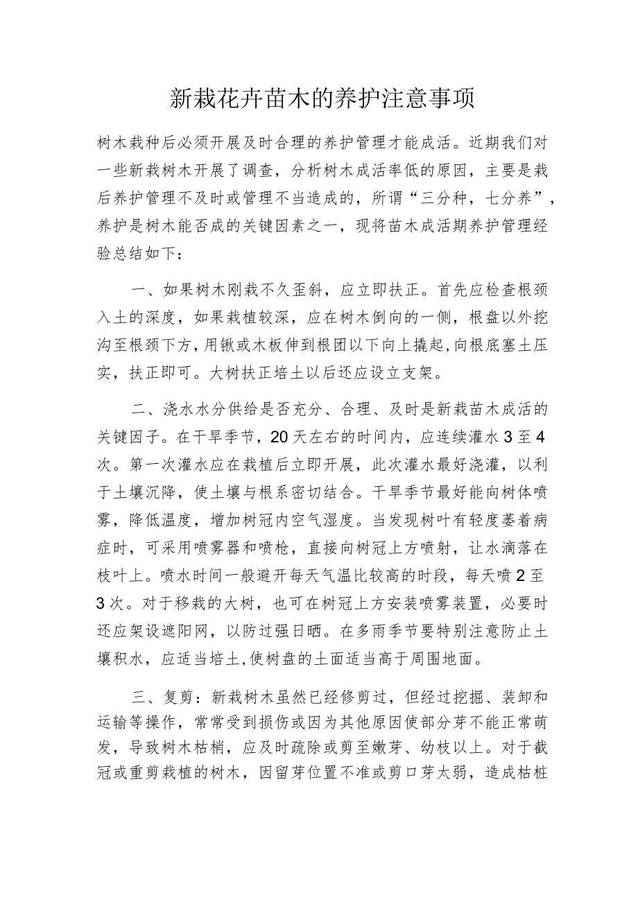 新栽花卉苗木的养护注意事项.docx_第1页