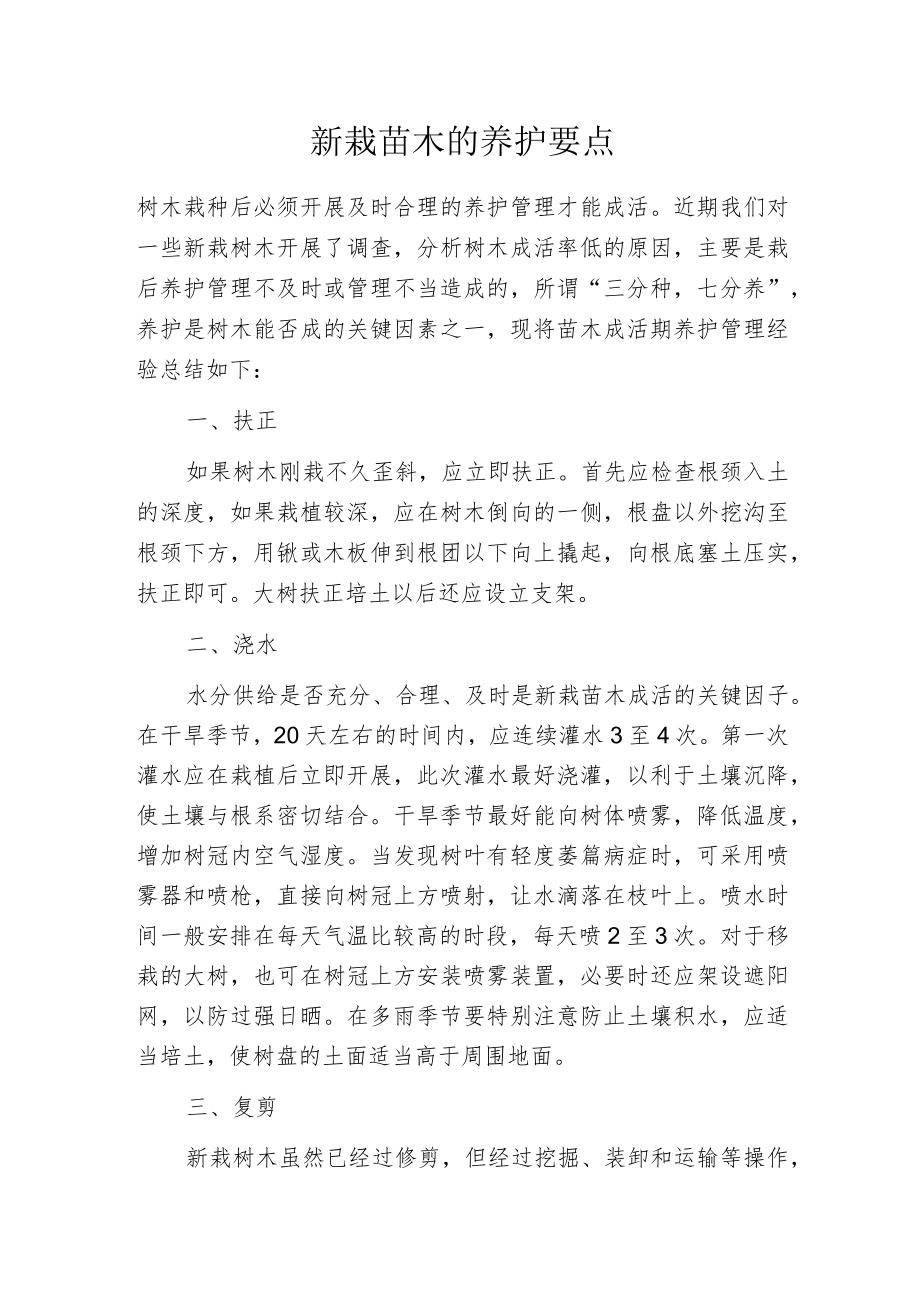 新栽苗木的养护要点.docx_第1页