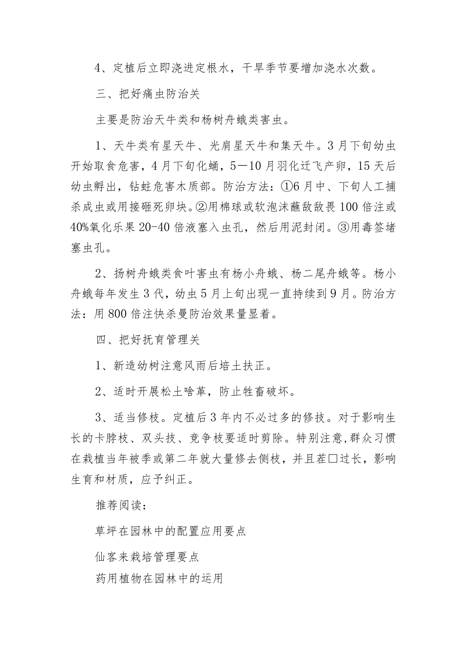 意杨栽培技术.docx_第2页