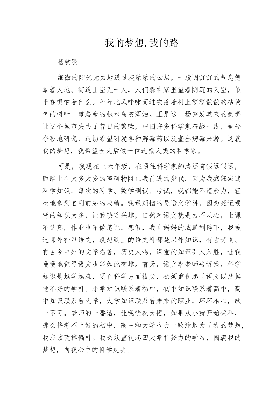 我的梦想,我的路.docx_第1页