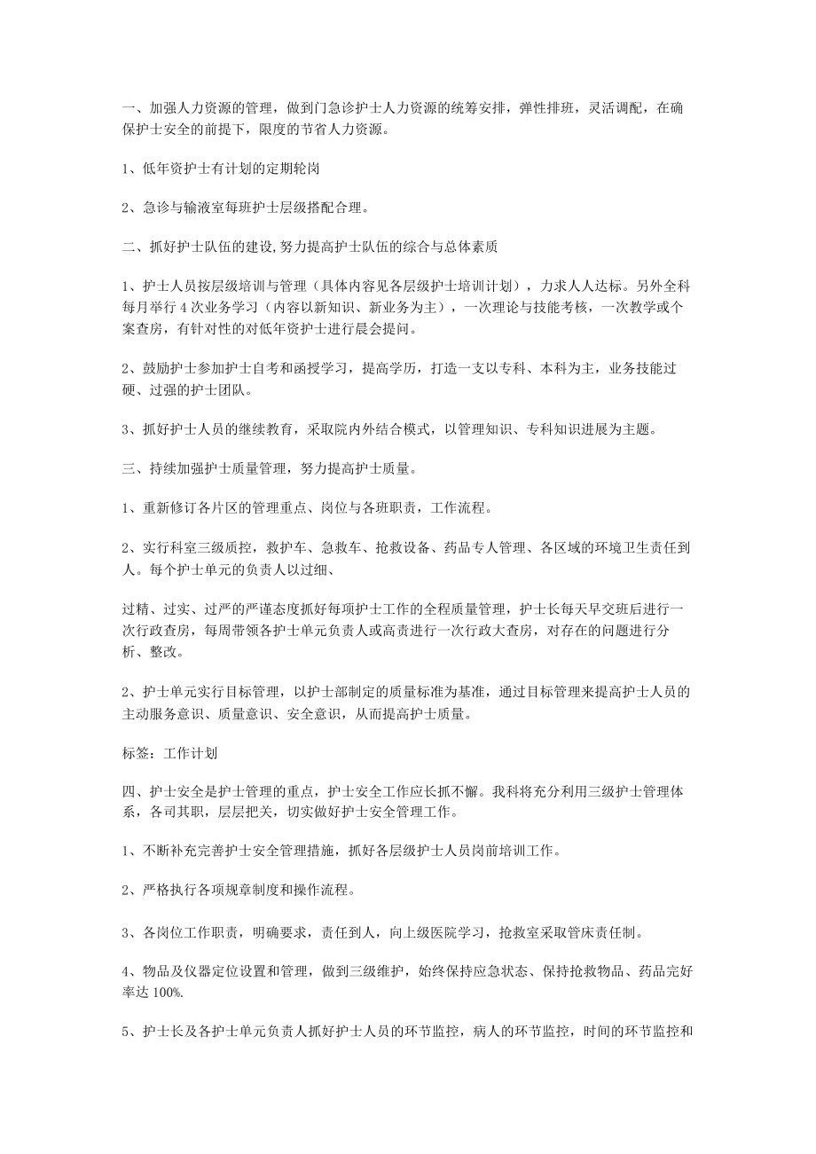 急诊护士个人工作计划.docx_第2页