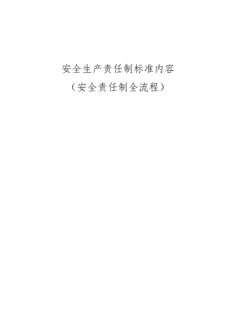 某公司安全生产责任制标准内容.docx_第1页