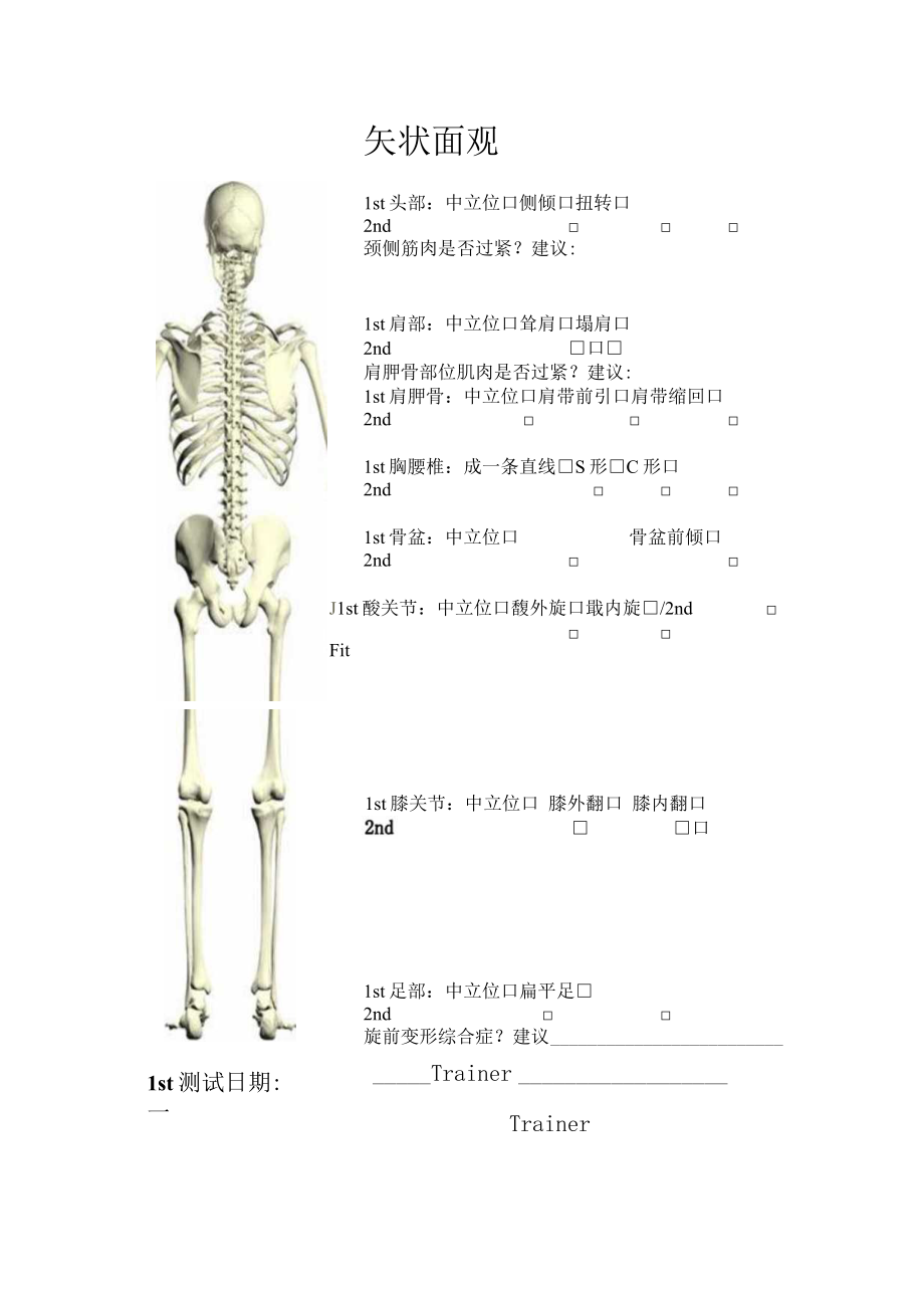 体位评估额状观.docx_第1页