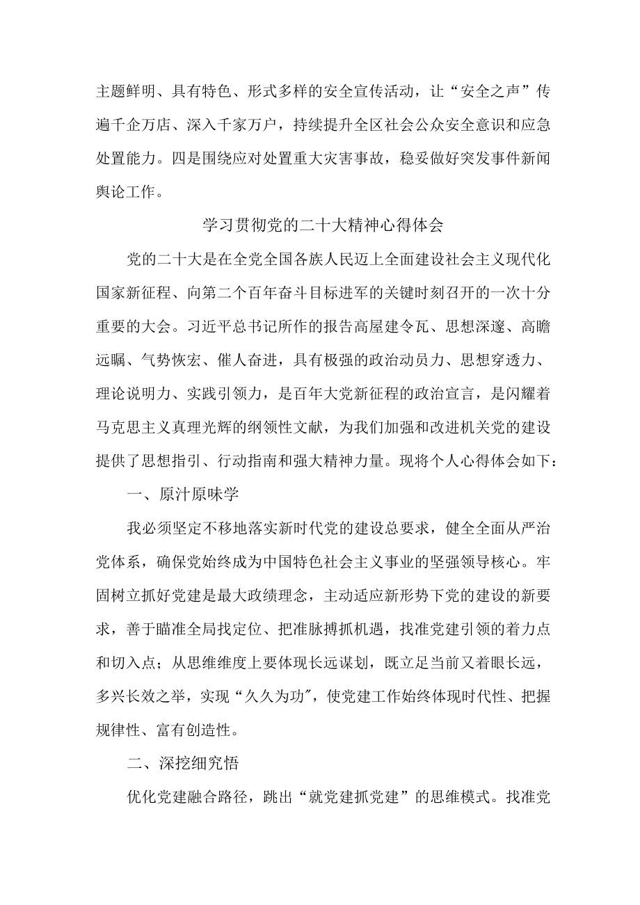 应急管理局基层个人学习贯彻党的二十大精神心得体会三篇.docx_第2页