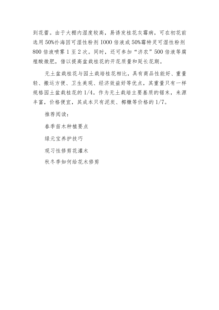 桂花无土盆栽技术.docx_第3页