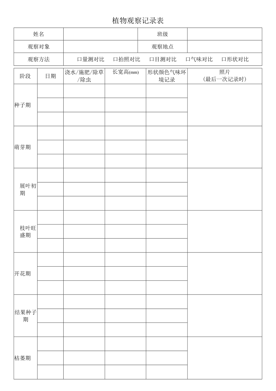 植物观察记录表.docx_第1页