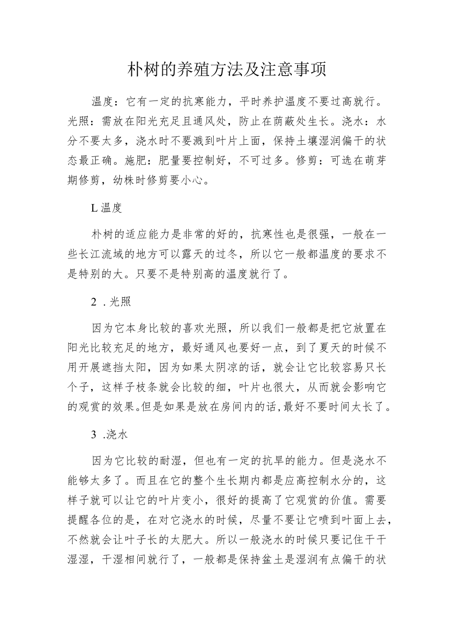 朴树的养殖方法及注意事项.docx_第1页