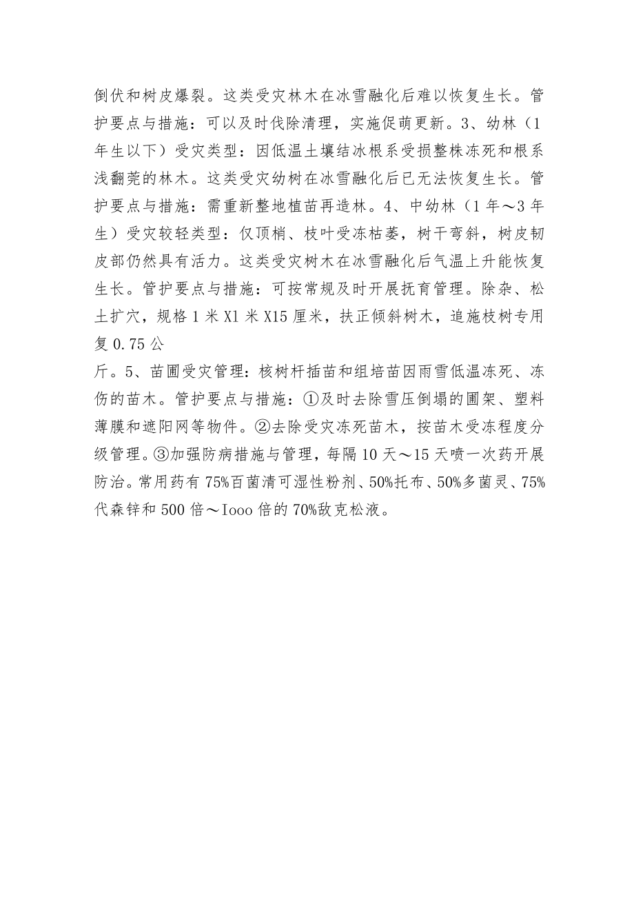 桉树在雪灾后恢复技术要点与措施 供林农参考.docx_第2页