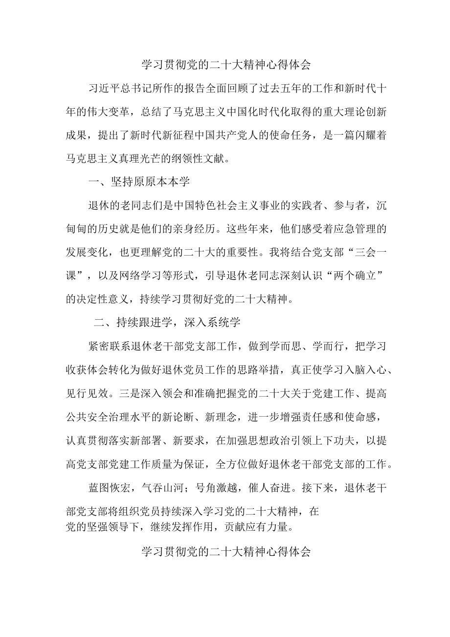 应急管理综合科负责人《学习贯彻党的二十大精神》心得体会 （4份）.docx_第1页