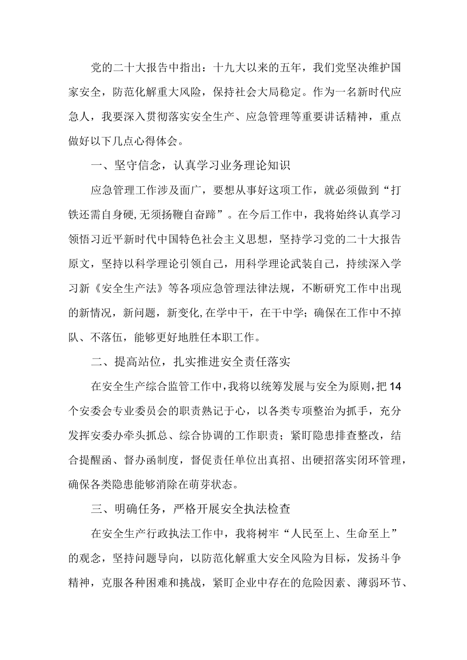 应急管理综合科负责人《学习贯彻党的二十大精神》心得体会 （4份）.docx_第2页