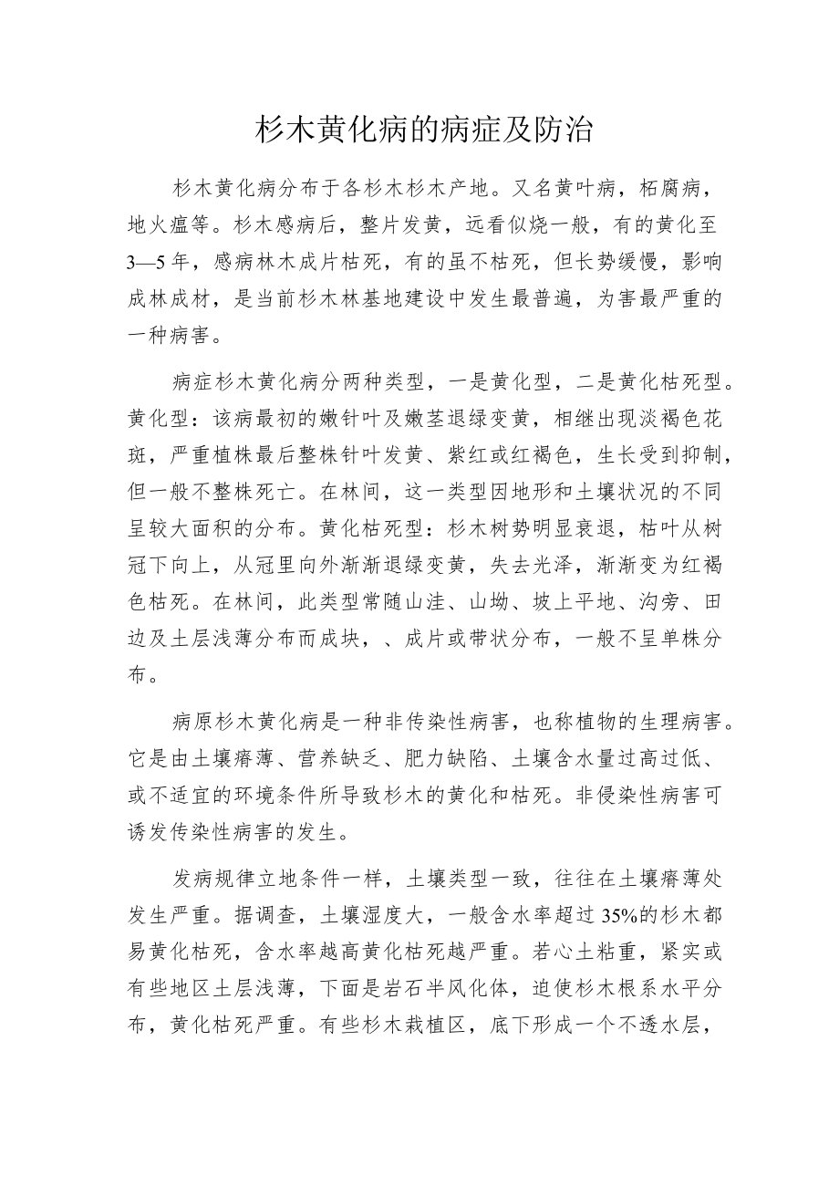 杉木黄化病的病症及防治.docx_第1页