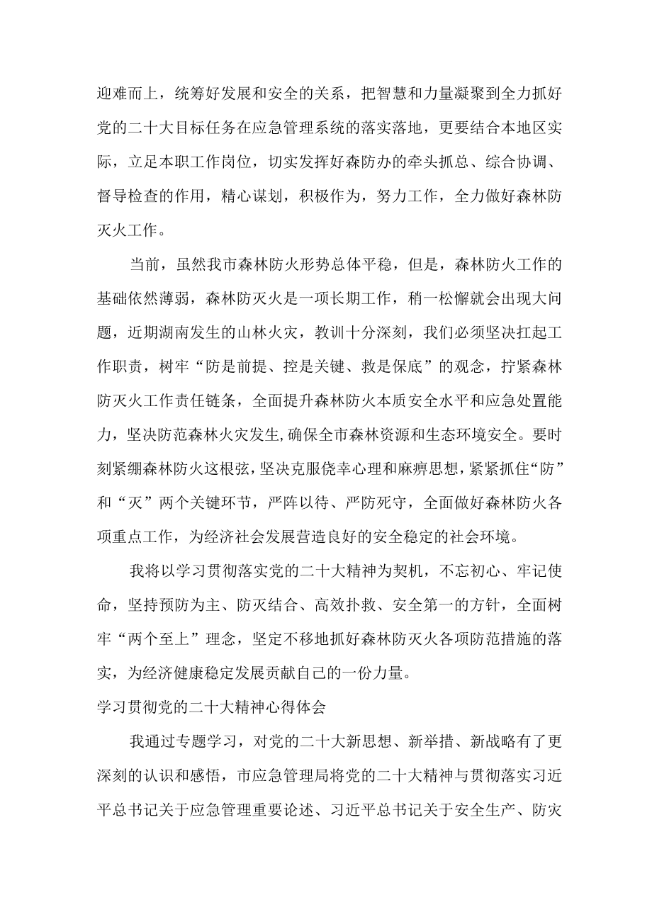 应急管理局副股长学习贯彻党的二十大精神心得体会三篇.docx_第3页