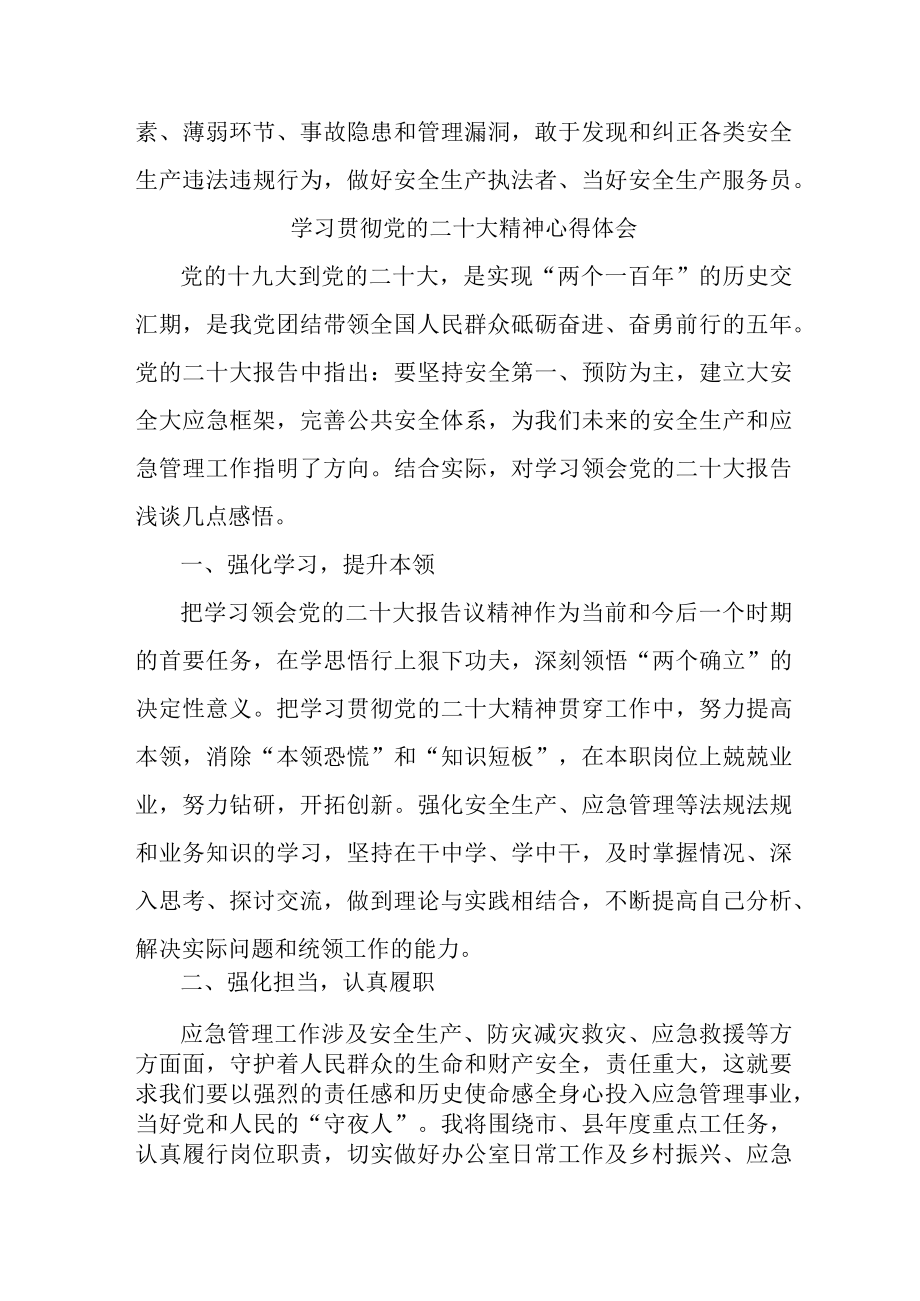 应急管理局安监干部学习贯彻党的二十大精神心得体会三篇.docx_第2页