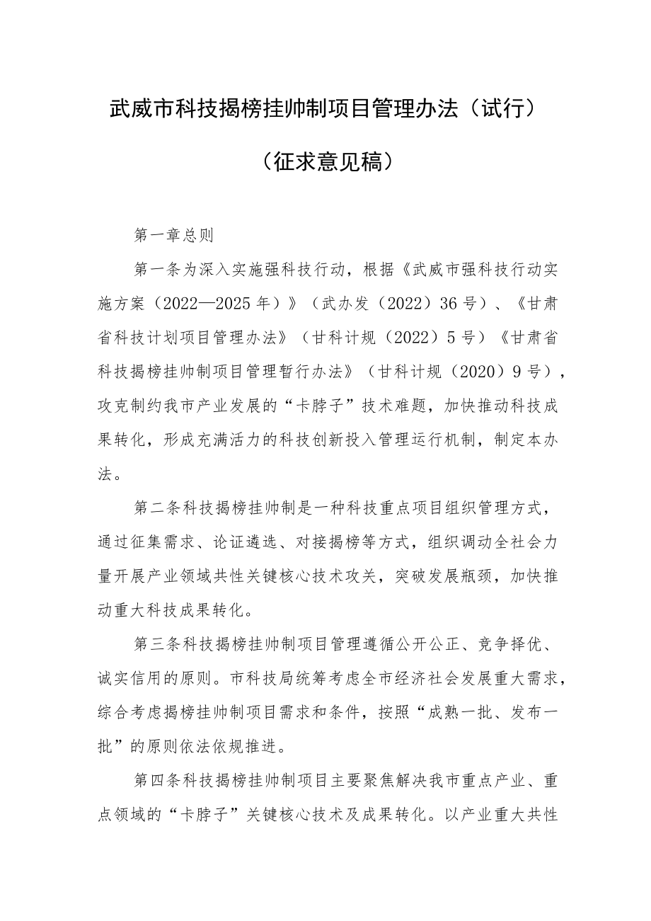 武威市科技揭榜挂帅制项目管理办法（试行）.docx_第1页