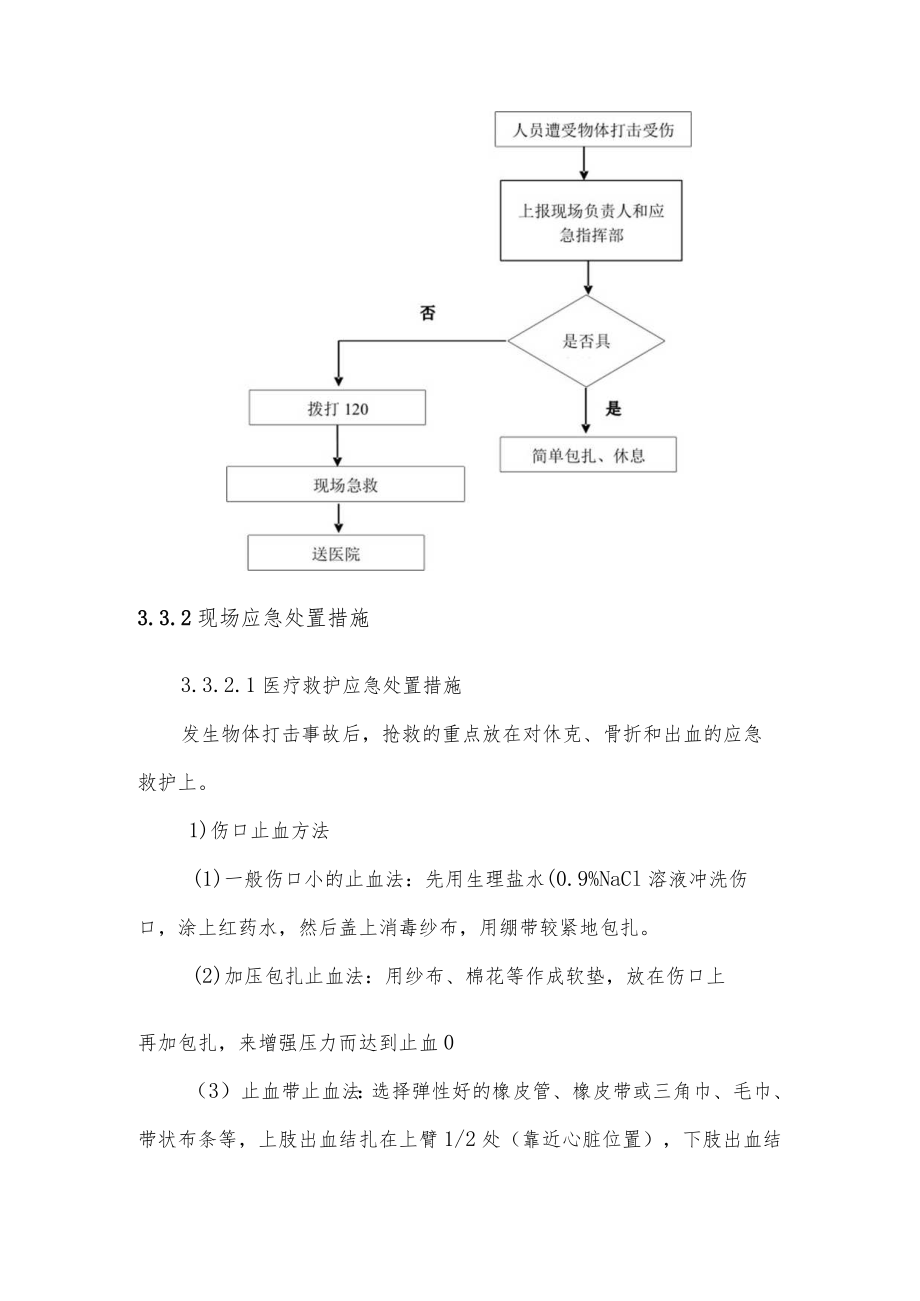 物体打击现场处置方案.docx_第3页