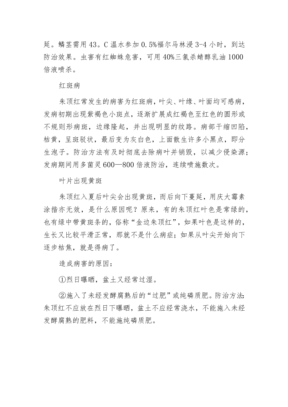 朱顶红的主要病害及防治方法.docx_第2页