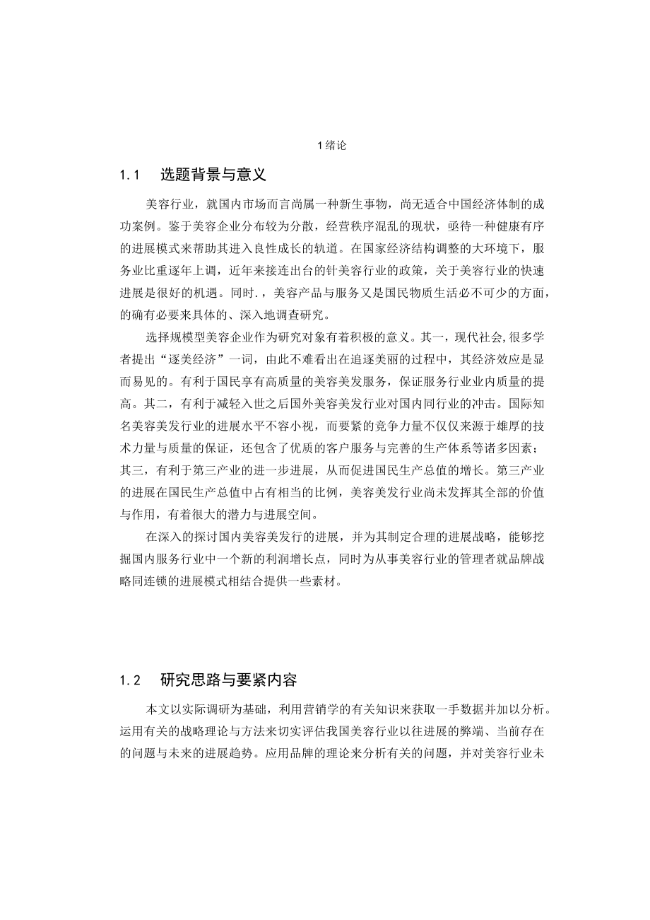 我国美容行业企业发展战略研究.docx_第2页