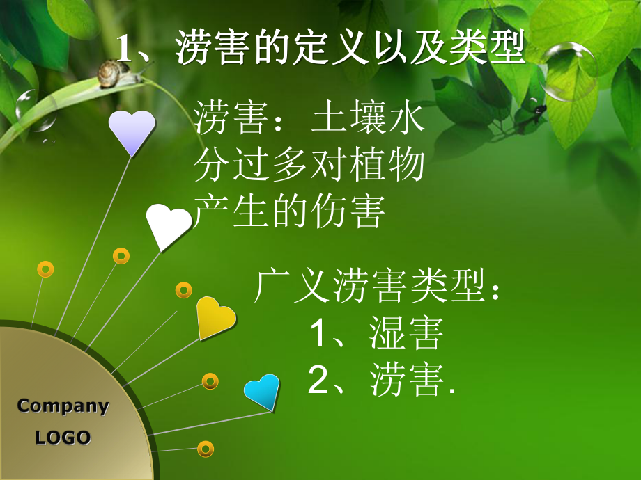 植物生理学PPT.ppt_第2页