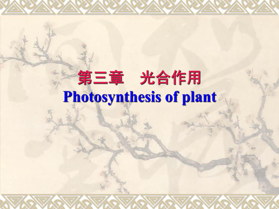 植物生理学光合作用.ppt_第1页