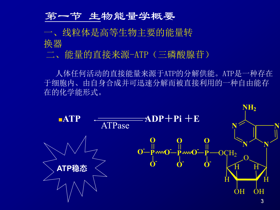 运动生理学1.ppt_第3页