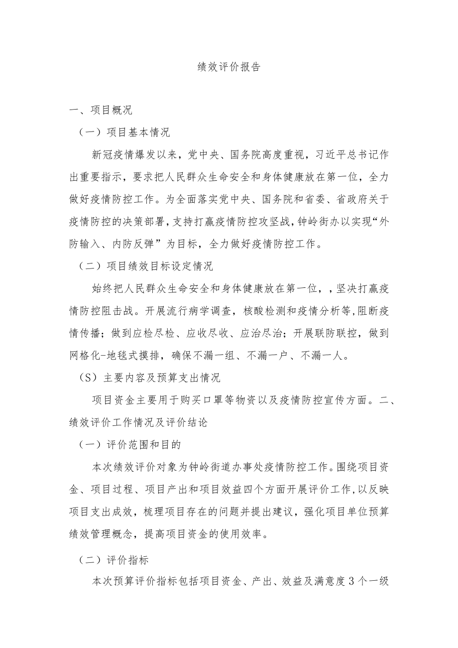 绩效评价报告.docx_第1页