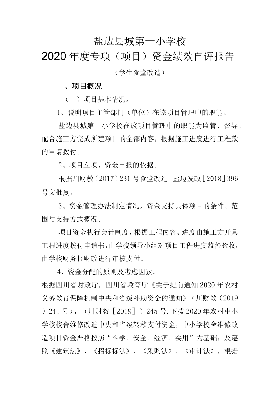 盐边县城第一小学校2020年度专项项目资金绩效自评报告.docx_第1页