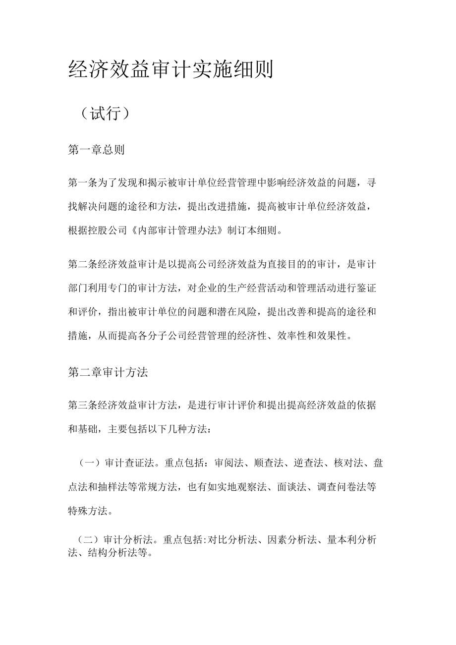 经济效益审计实施细则.docx_第1页