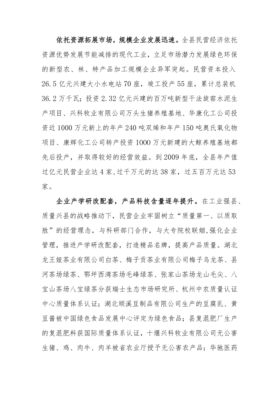 竹溪县民营经济“十二五”规划.docx_第2页