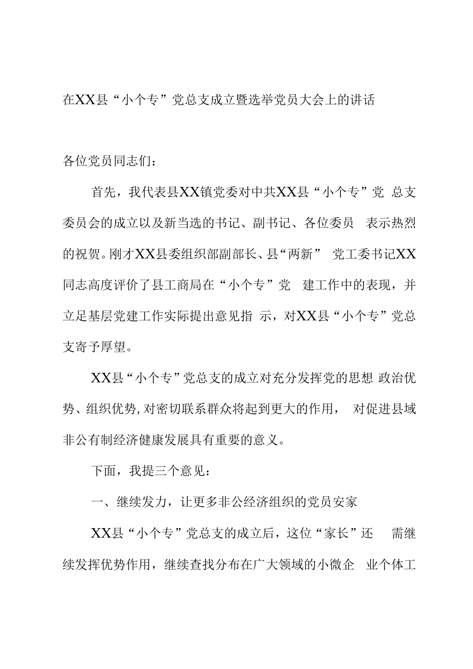 上级领导在XX县XX党总支成立暨选举党员大会上的讲话.docx_第1页