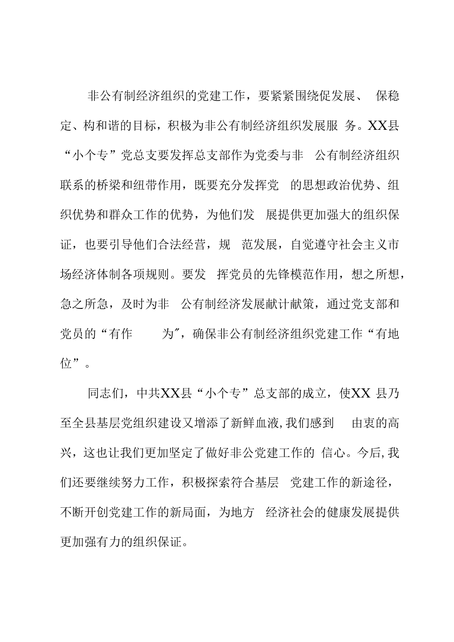 上级领导在XX县XX党总支成立暨选举党员大会上的讲话.docx_第3页